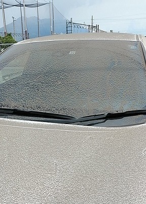 IMG_20190613133.jpg