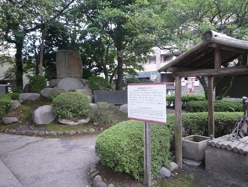 P1450890-2.jpg