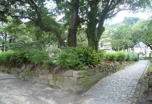 P1450893-2.jpg