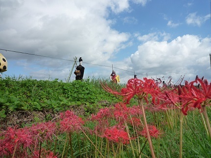 P1470426-2.jpg
