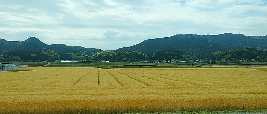 IMG_201905_111320.jpg
