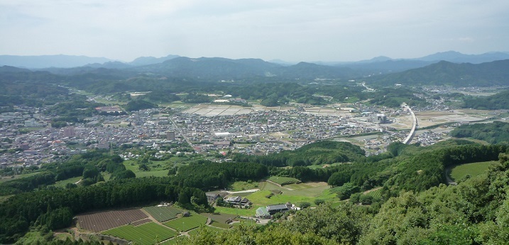 P1450199-1.jpg