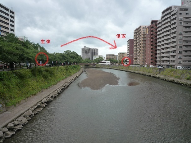 P1450862-1.jpg